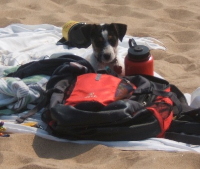 Jack Black at the beach