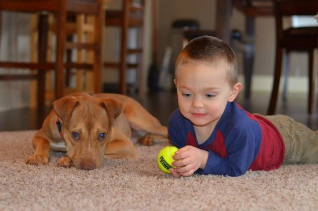 Blue and Enzo